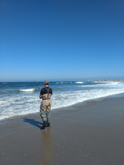 Surf fishing Southern California beach, August 2020